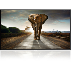 Monitor Profesjonalny 8MB120C